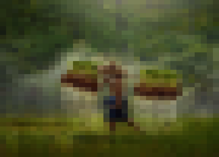 Title 7