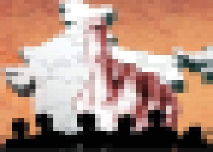 Title 5