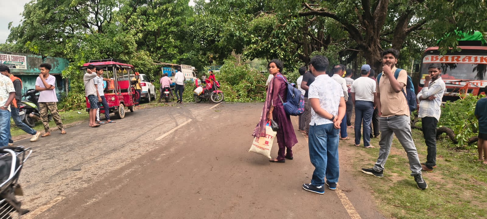 भारी बारिश और तूफान से गिरा पेड़, घंटों बाधित रहा आवागमन