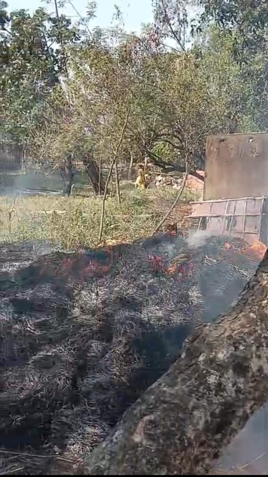 खलिहान में आग लगने से किसान को लाखों का नुकसान 