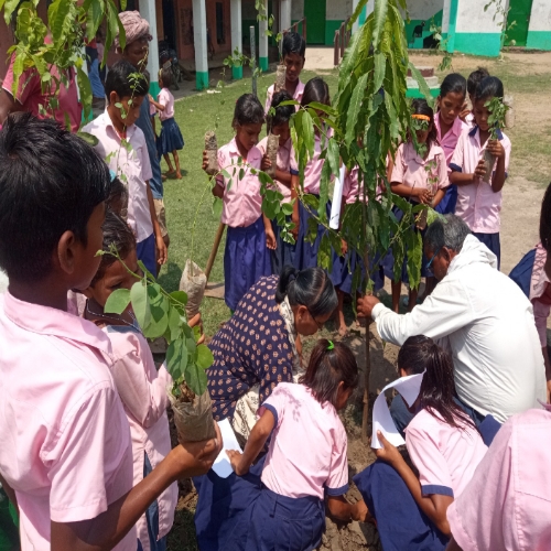 विश्व पर्यावरण दिवस के अवसर पर जिला स्तरीय कार्यक्रम का हुआ आयोजन,अमृत सरोवर बांझी में अतिथि गणों ने किया पौधारोपण  