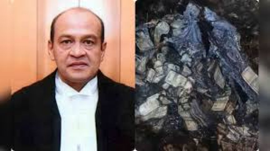 दिल्ली HC के जज यशवंत वर्मा की वीडियो ने खोली पोल? सुप्रीम कोर्ट ने की घर से कैश मिलने की पुष्टि